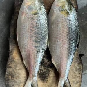 ২ পিস (৫ কেজি) — ৩০০০ টাকা